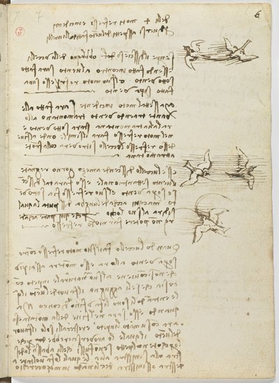 Birds Flight Code, c. 1505-06 by Leonardo da Vinci